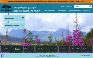 Dillingham City Public Safety website