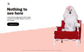 Arctic Paws Pet Grooming