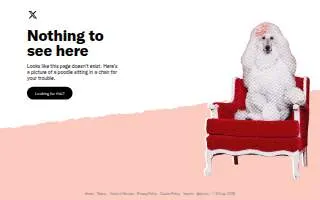 Arctic Paws Pet Grooming of Ester website