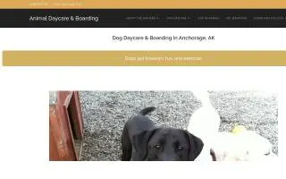 Animal Daycare & Boarding of Gambell website
