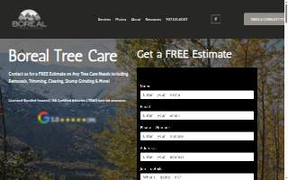 Boreal Tree Care