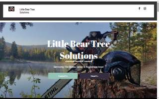 Little Bear Tree Solutions of Gambell