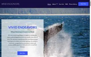 Vivid Endeavors website