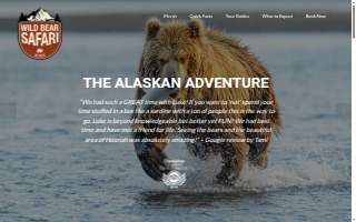Wild Bear Safari