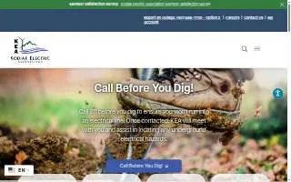 Kodiak Electric Association Inc website