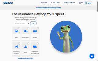 GEICO Insurance Agent