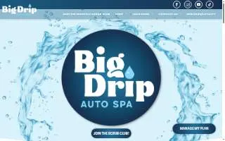 Big Drip Auto Spa website