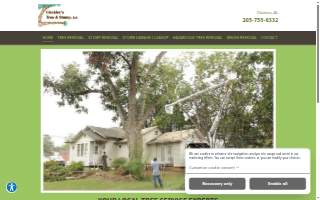 Cleckler's Tree & Stump