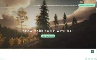 Southern Pine Dental website