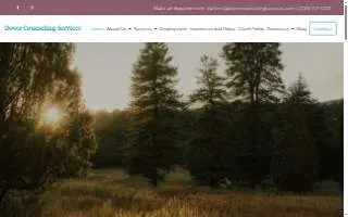 Dover Counseling Services website