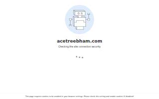 ACE Tree Service