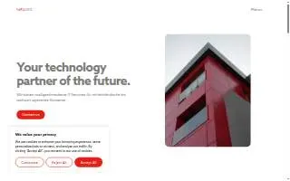Netpoint IT Services Inc website