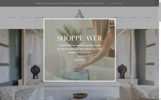 Ashley Ayer Interiors website