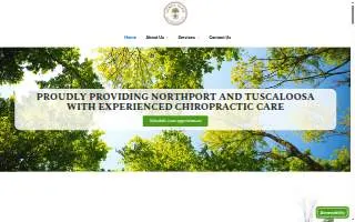 Sokol Park Chiropractic, LLC website