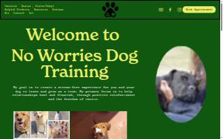 No Worries Dog Training of Pelham
