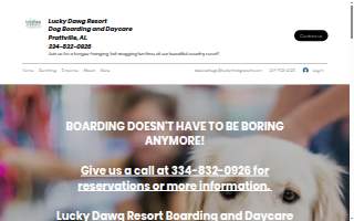 Lucky Dawg Resort