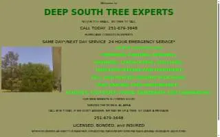 Deep South Tree Experts website