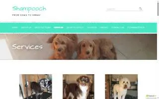 Shampooch website