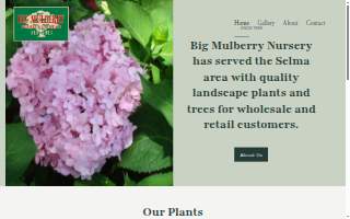 Big Mulberry Nursery & Landscape