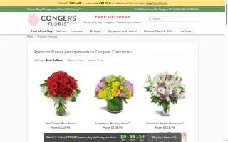 Congo Dental Studio website