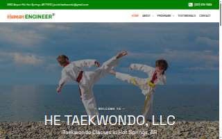 Human Engineer Taekwondo