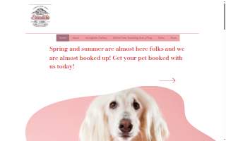 Pinnacle Pet Lodge of Little Rock