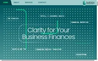 Bushong Accounting website
