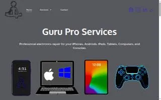 Guru Pro Services website