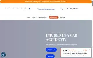 Back Pain Chiropractic website