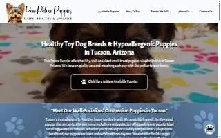 Paw Palace Puppies website