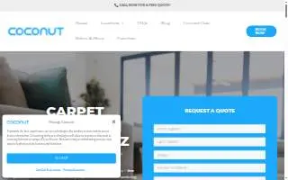 Coconut Cleaning website