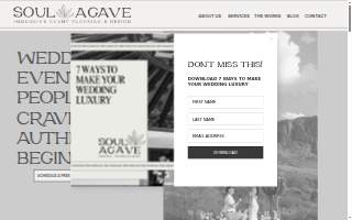 Soul Agave Proposal + Wedding Planner