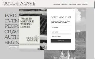 Soul Agave Proposal + Wedding Planner website
