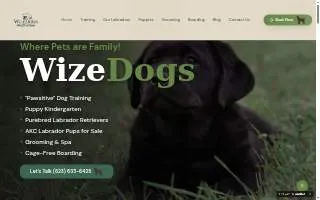 WizeDogs website