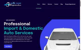 Auto Care Experts