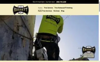 Bassett Tree Service of Mesa website