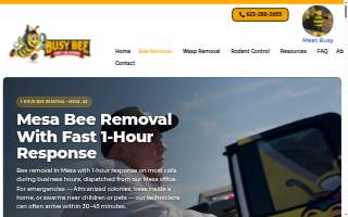Busy Bee Pest Solutions