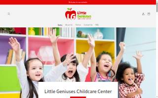 Little Geniuses Childcare Center