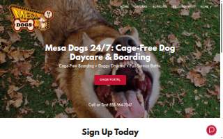 Mesa Dogs 24/7