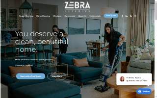 Zebra Cleaning