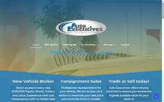 Auto Executives website
