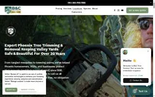 B&C Tree Services of Phoenix website