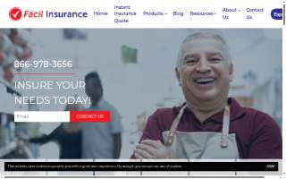 Facil Insurance & Income Tax