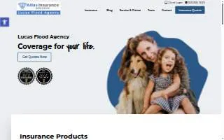 Lucas Flood Agency website