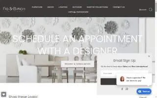 Fig & Birch Interiors website