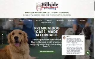 Hillside K9 Academy website