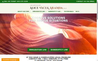 Law Offices of Alice Vacek Aranda, PLLC