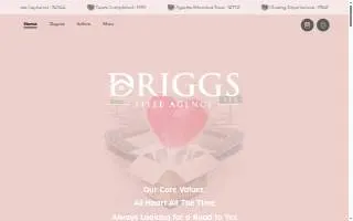 Driggs Title Agency - Tempe website