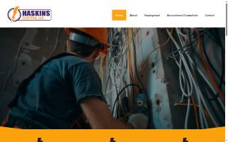Haskins Electric Inc