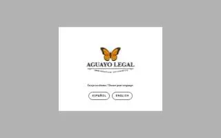 Aguayo Legal website